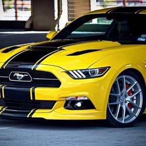 Meet your Posher, Luis